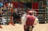 IMG_1350 